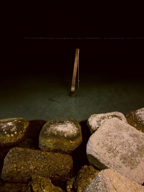 No title
#bari #lungomare #lungomaredibari